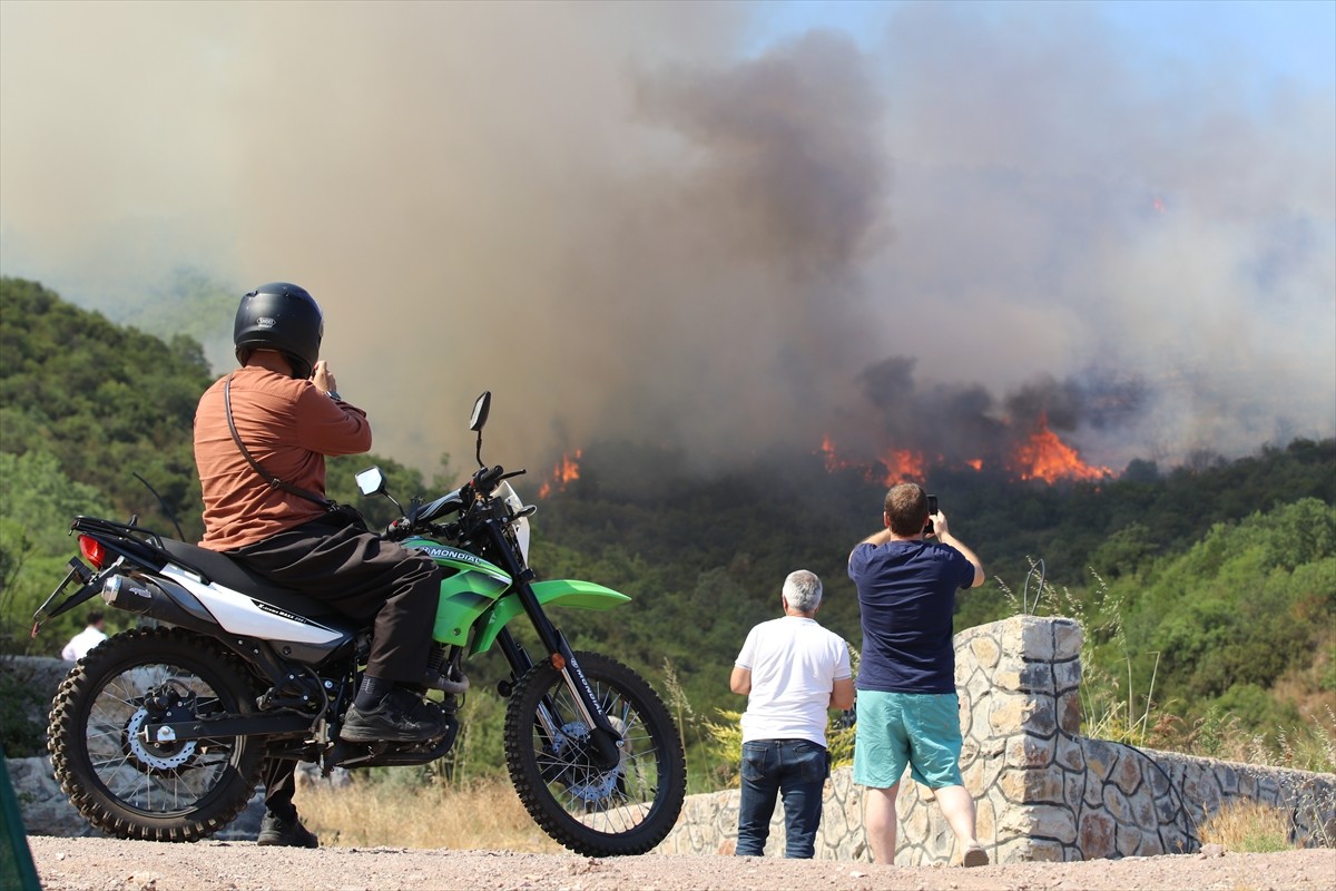Kocaeli'nin Derince ilçesinde makilik ve ağaçlık alanda çıkan yangını söndürme çalışmaları...