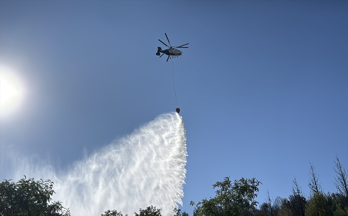 Kocaeli'nin Gebze ilçesinde ağaçlık alanda çıkan yangın, ekiplerin havadan ve karadan...