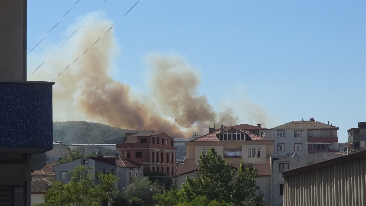Kocaeli'nin Gebze ilçesinde ağaçlık alanda çıkan yangını söndürmek için çalışma...
