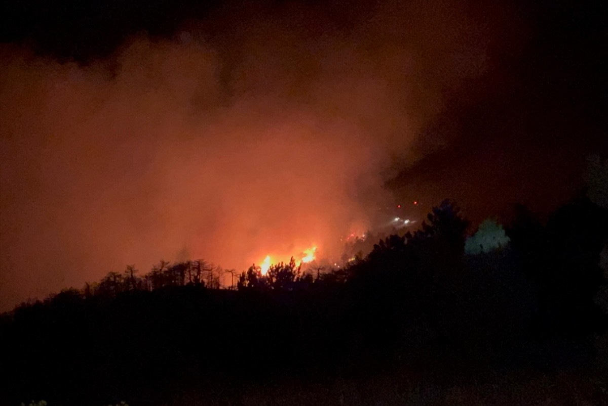 Konya'nın Doğanhisar ilçesinde ormanlık alanda çıkan yangına havadan ve karadan müdahale...
