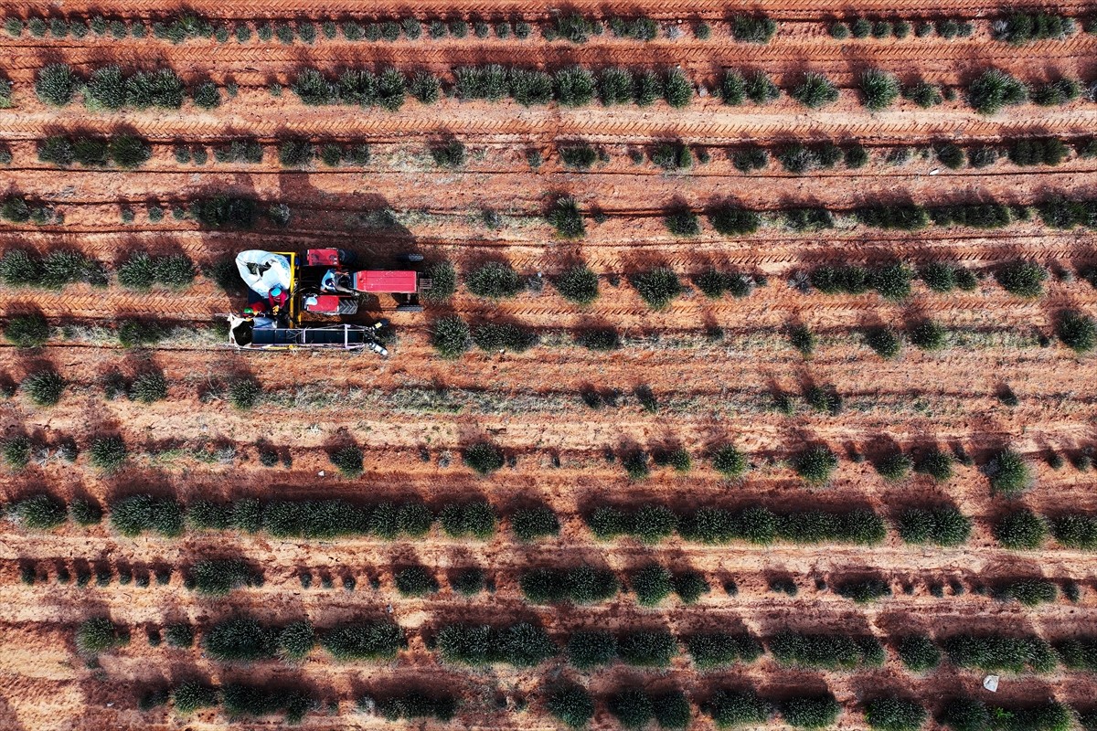 Konya Büyükşehir Belediyesi ve Konya Ovası Projesi (KOP) Bölge Kalkınma İdaresi Başkanlığının...