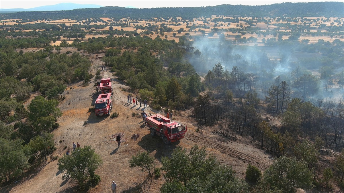 Kütahya'da tarlada başlayıp ormanlık alana sıçrayan yangın, ekiplerin müdahalesi sonucu kontrol...