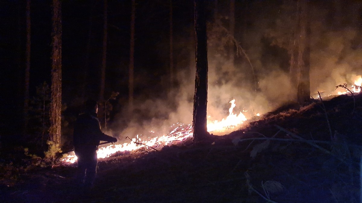 Kütahya'nın Emet ilçesinde yıldırım düşmesi nedeniyle çıkan orman yangını, köylüler ve orman...