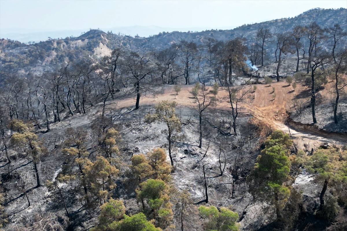 Manisa'nın Akhisar ve Ahmetli ilçesindeki orman yangınlarında zarar gören alanlar havadan...