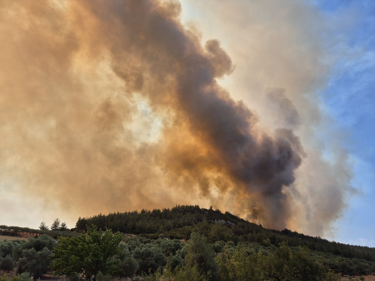 Manisa'nın Saruhanlı ilçesinde iki ayrı bölgede çıkan orman yangınından biri kontrol altına...