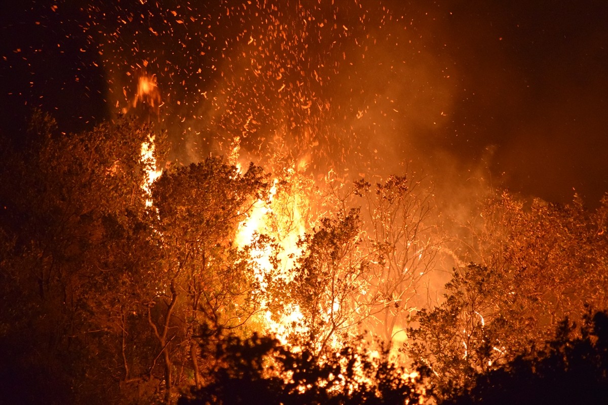 Manisa'nın Turgutlu ilçesinde tarım arazisinden ormanlık alana sıçrayan yangın ekiplerin...