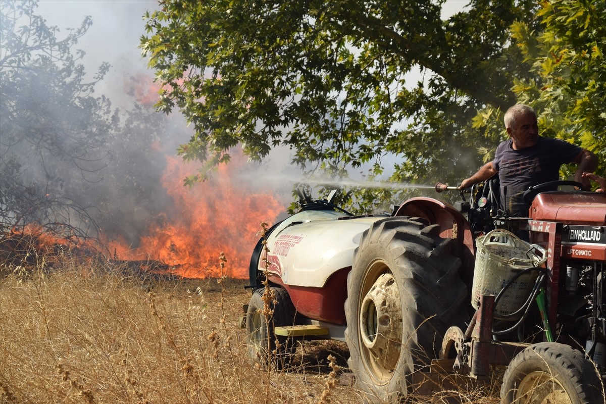 Manisa'nın Turgutlu ilçesinde zirai arazide çıkan yangında zeytin ağaçları ve üzüm bağları zarar...