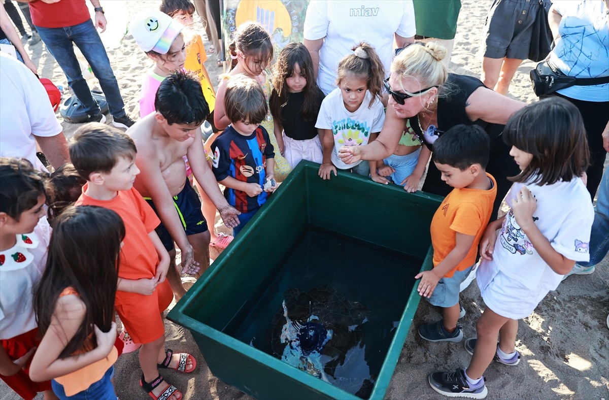 Mersin'de kaplumbağaların göç yolları, beslenme alışkanlıkları ve kışlama alanlarının öğrenilmesi...