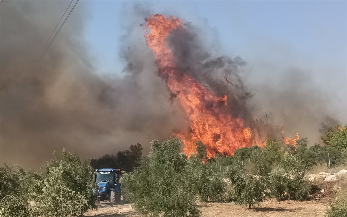 Mersin'in Silifke ilçesindeki ormanlık alanda çıkan yangına havadan ve karadan müdahale...
