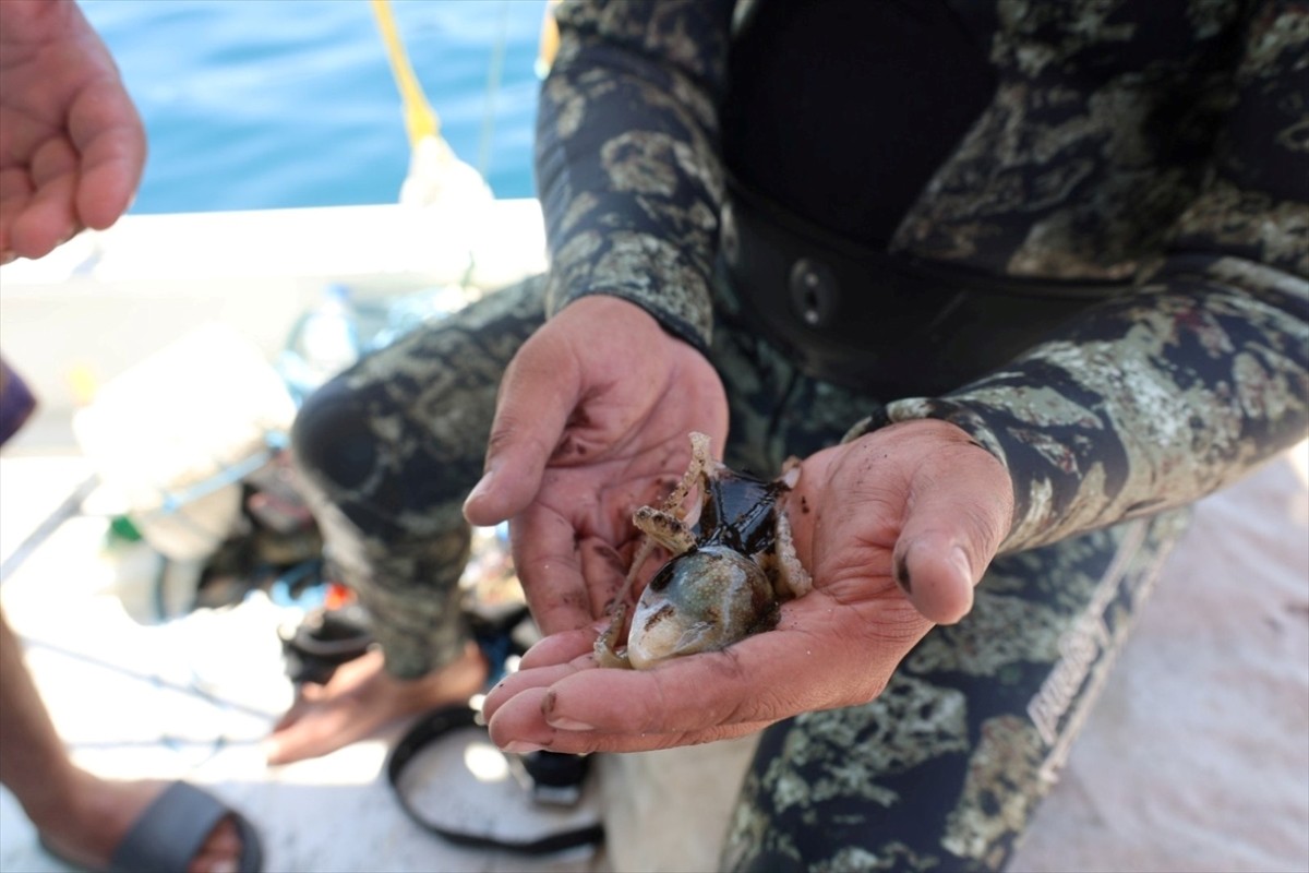 Muğla'nın Bodrum ilçesinde gönüllü dalgıçların yaptığı deniz dibi temizliğinde 168 kilogram atık...