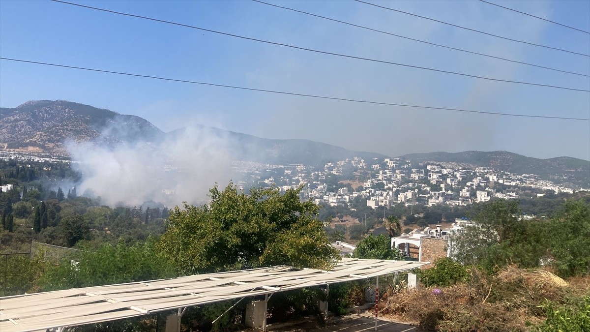 Muğla'nın Bodrum, Milas ve Kavaklıdere ilçelerinde dört noktada çıkan yangınlar kontrol altına...