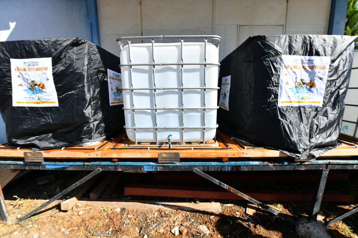 Muğla'nın Fethiye ilçesinde kırsal alanlara "Arı İçme Suyu Noktası" oluşturulacak. Fethiye...