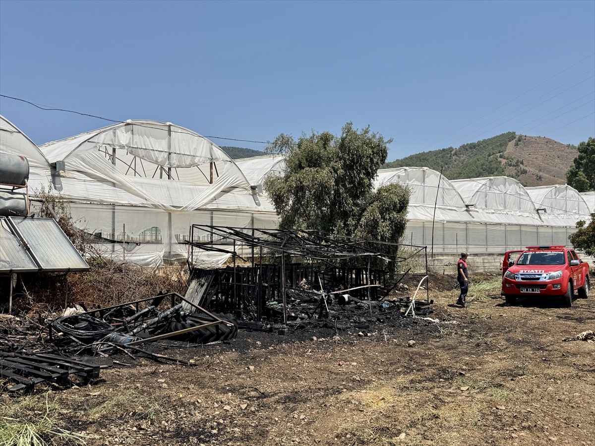 Muğla'nın Fethiye ilçesinde otluk alanda çıkan yangın, itfaiye ekiplerinin müdahalesiyle...