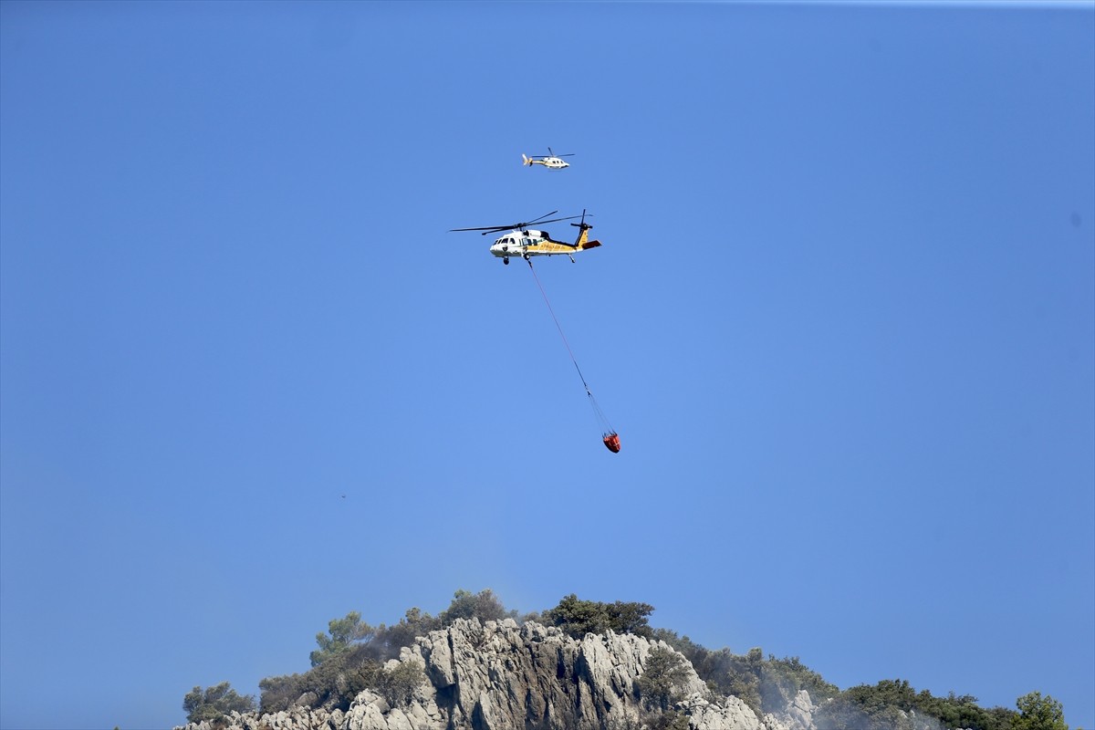 Muğla'nın Ortaca ilçesinde çıkan orman yangınına havadan ve karadan müdahale ediliyor.