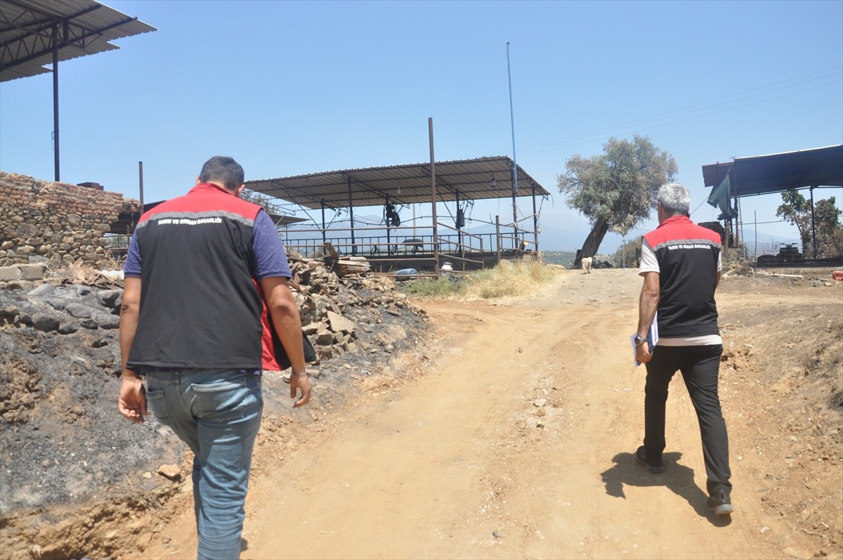 Ödemiş İlçe Tarım ve Orman Müdürlüğü ekipleri, Karadoğan Mahallesi'nde meydana gelen yangın...