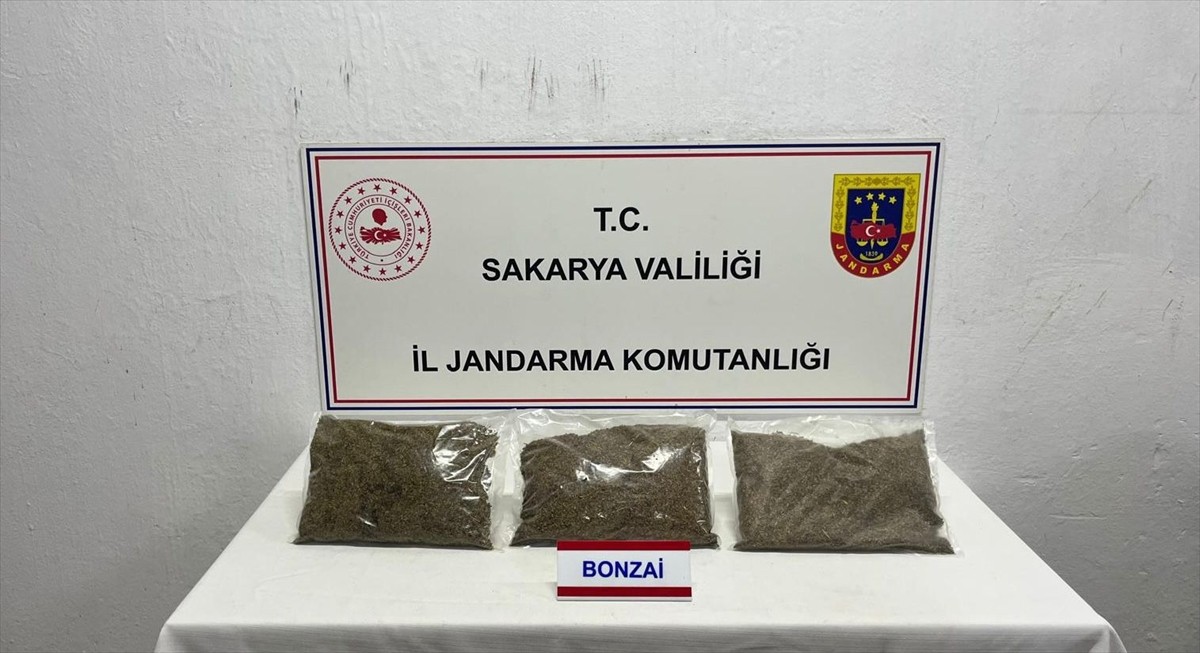 Sakarya'nın Adapazarı ilçesinde 2 kilo 750 gram sentetik uyuşturucunun ele geçirildiği operasyonda...