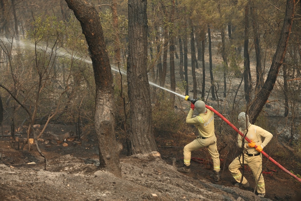 Sakarya'nın Geyve ilçesinde çıkan orman yangını üçüncü gününde söndürülmeye...