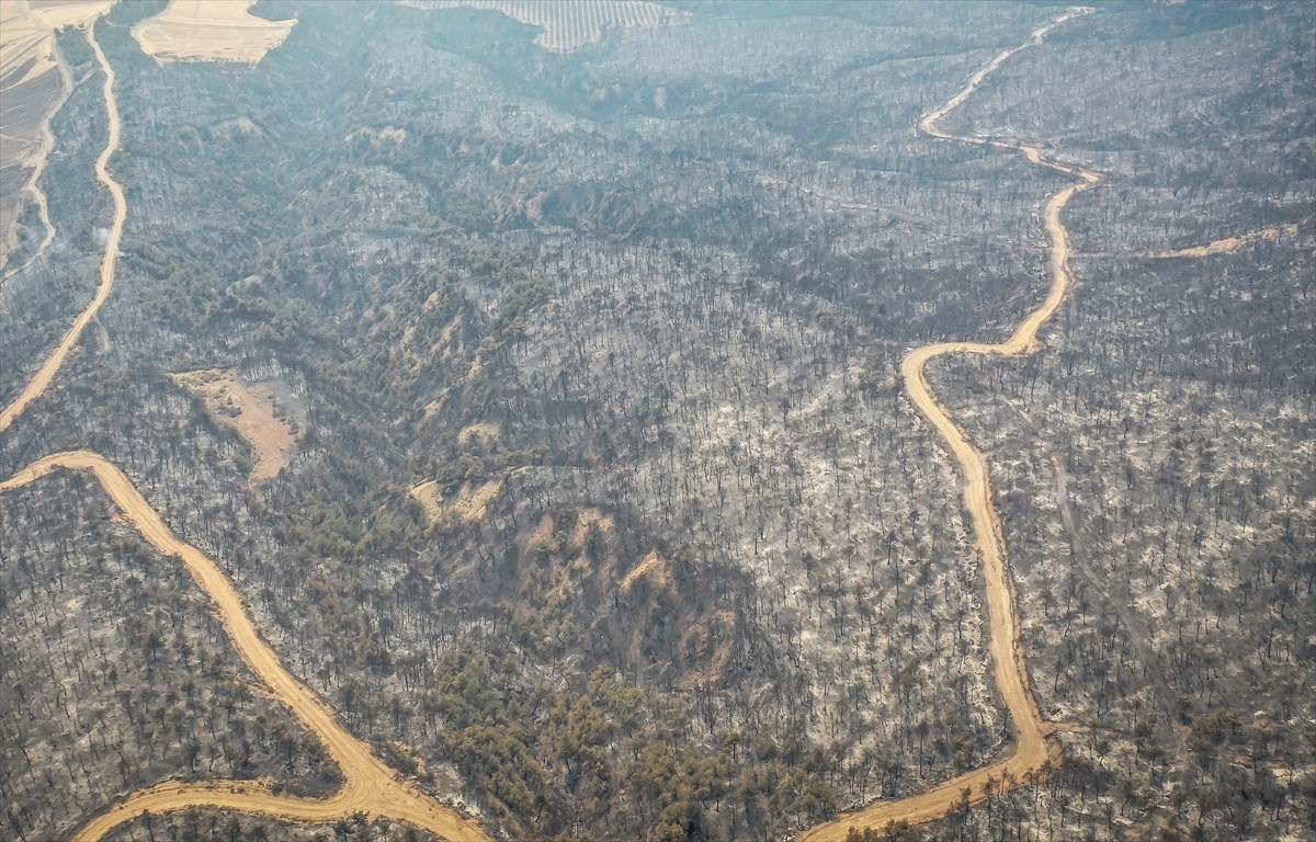 Sakarya'nın Geyve ilçesinde önceki gün ormanlık alanda çıkan ve dün Bilecik tarafına sıçrayan...