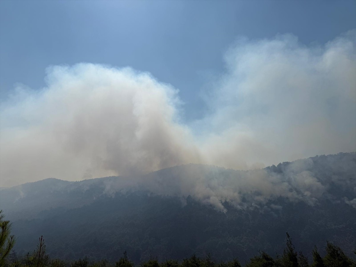 Sakarya'nın Geyve ilçesinde önceki gün ormanlık alanda çıkan ve dün Bilecik tarafına sıçrayan...