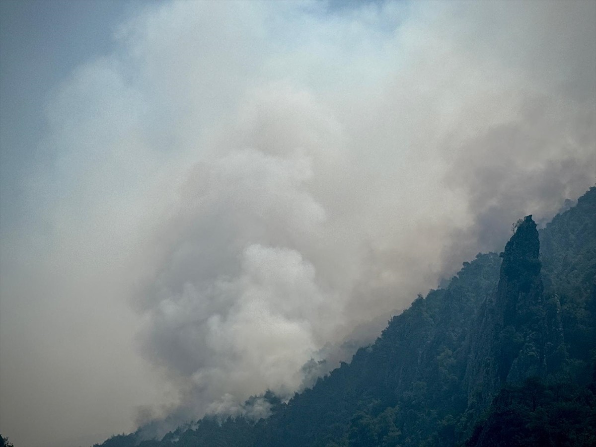 Sakarya'nın Geyve ilçesinde önceki gün ormanlık alanda çıkan ve dün Bilecik tarafına sıçrayan...