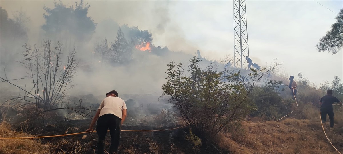 Sakarya'nın Geyve ilçesinde ormanlık alanda çıkan, daha sonra Bilecik tarafına sıçrayan ve bugün...