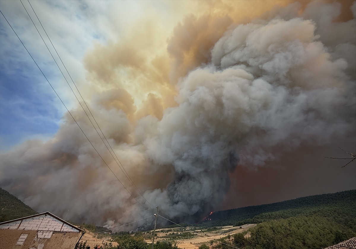 Sakarya'nın Geyve ilçesindeki ormanlık alanda çıkan yangın, Bilecik tarafına sıçradı.