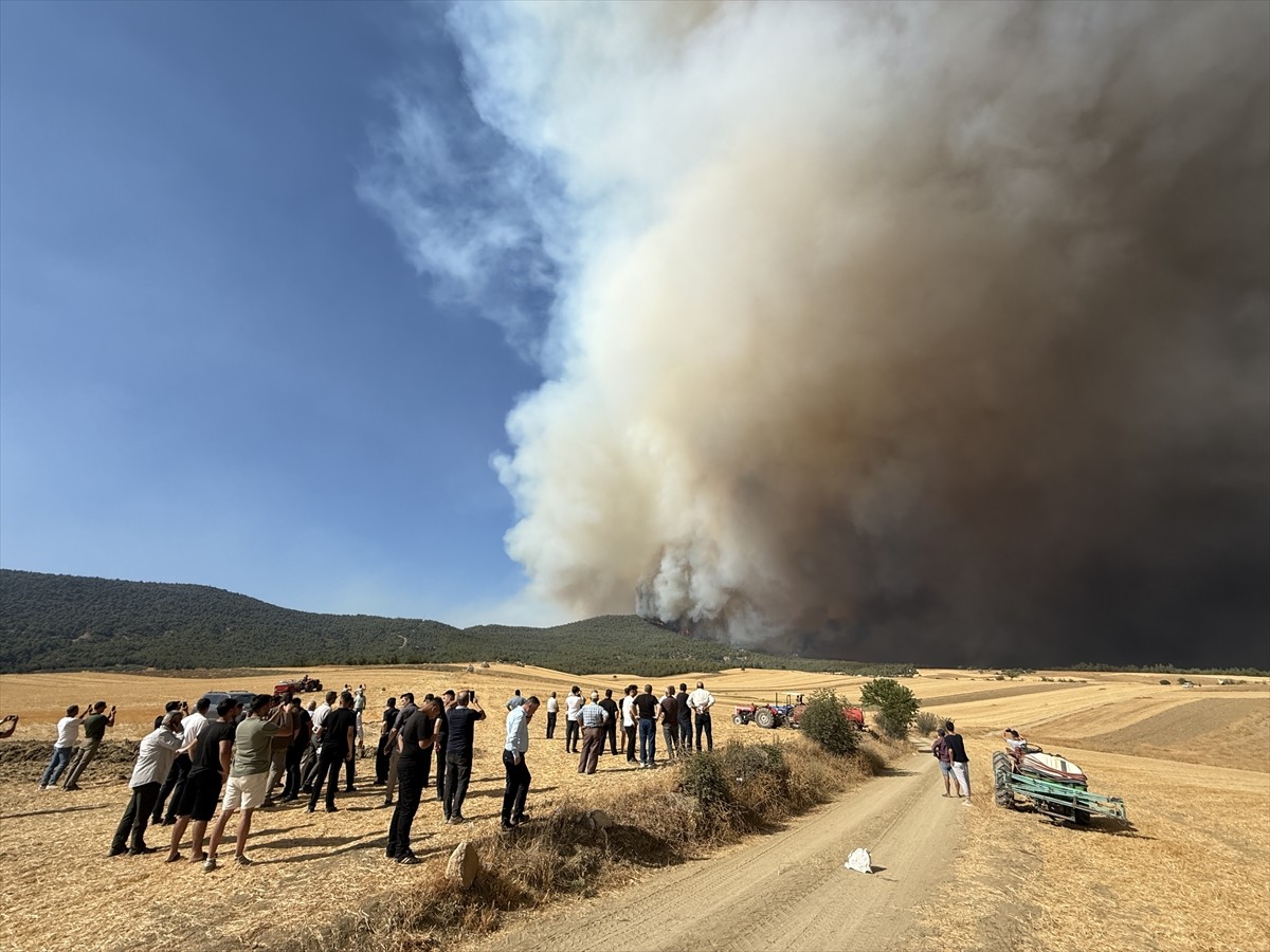 Sakarya'nın Geyve ilçesindeki ormanlık alanda çıkan yangın, Bilecik tarafına sıçradı.
