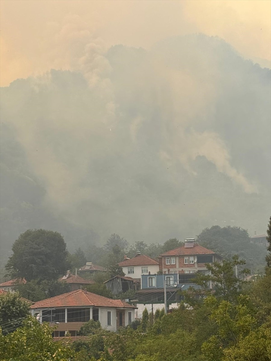 Sakarya'nın Geyve ilçesindeki ormanlık alanda çıkan yangın, havadan ve karadan müdahaleyle...