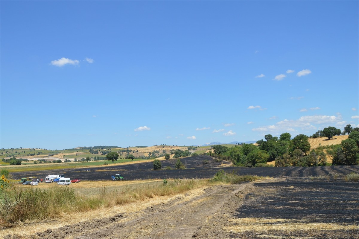 Samsun'un Havza ilçesinde çıkan yangında bir bölümü ekili olan yaklaşık 100 dekar tarım arazisinde...
