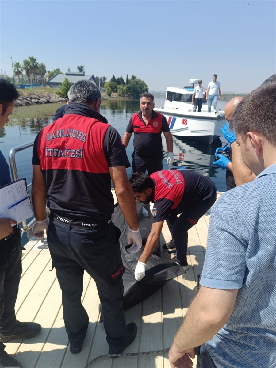 Şanlıurfa'nın Birecik ilçesinde Fırat Nehri kıyısında erkek cesedi bulundu. Durumun bildirilmesi...