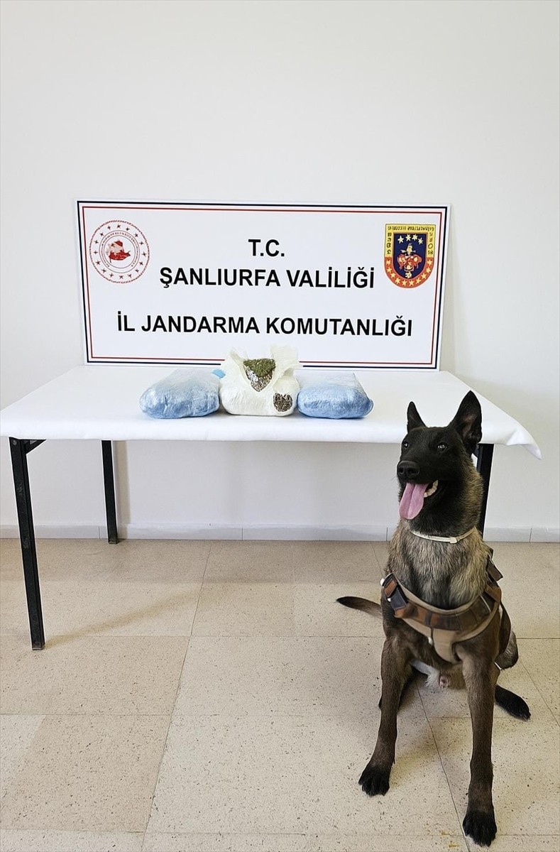 Şanlıurfa'nın Karaköprü ve Siverek ilçelerinde düzenlenen uyuşturucu operasyonunda 3 zanlı...