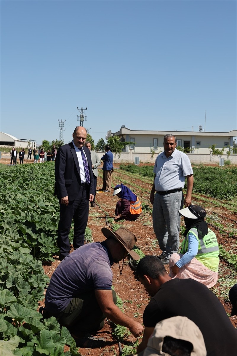 Şanlıurfa Büyükşehir Belediyesi, Cumhurbaşkanı Recep Tayyip Erdoğan'ın eşi Emine Erdoğan'ın...