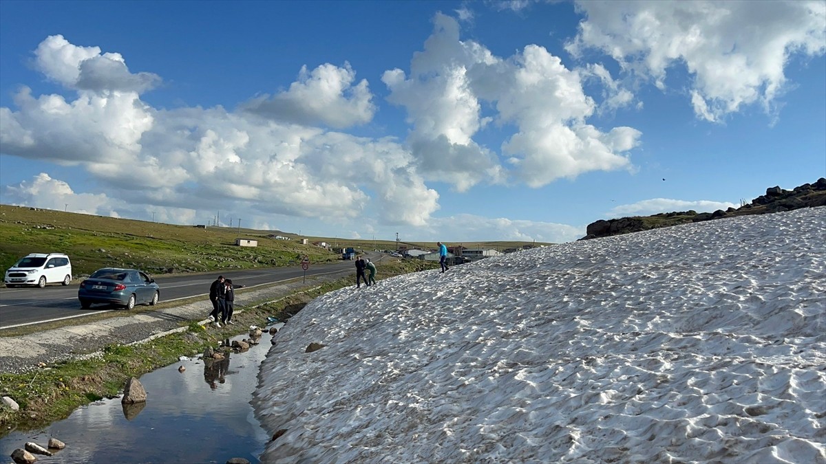 Sıcak havadan bunalanlar, Ardahan'daki karlı zirvelerde serinlemenin keyfini yaşıyor....