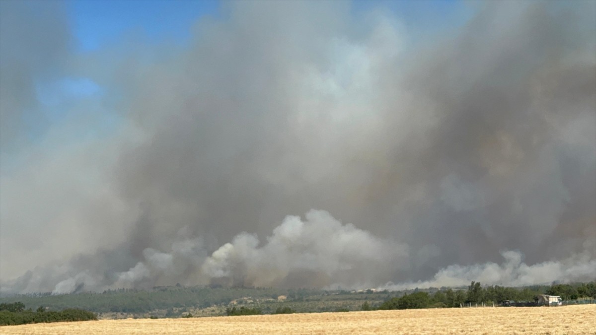 Silivri'de, ormanlık alanda çıkan yangına itfaiye ekipleri müdahale ediliyor.