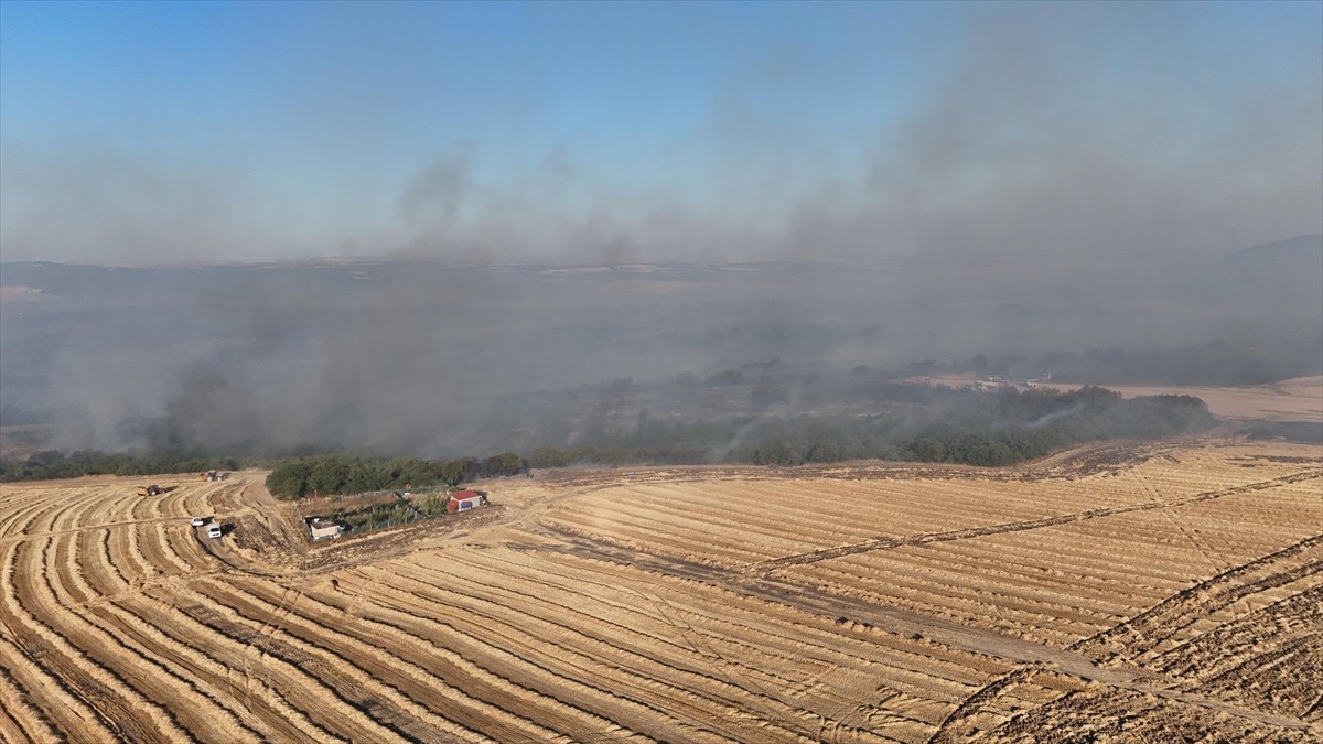 Silivri'de, ormanlık alanda çıkan yangına itfaiye ekipleri müdahale ediyor.