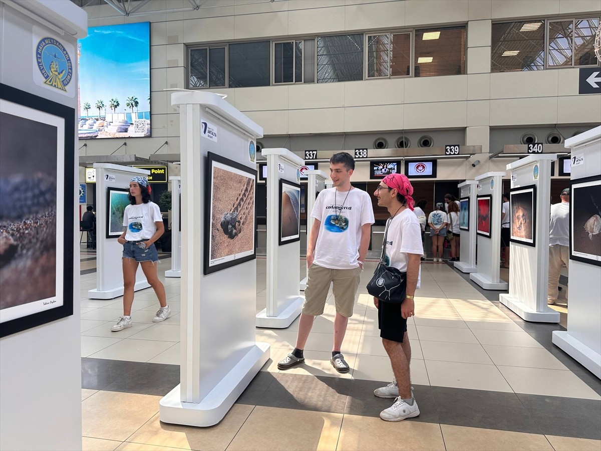 Su altı fotoğrafçısı ve belgesel yapımcısı Tahsin Ceylan'ın "Akdeniz'de Nesli Tehlike Altında Olan...