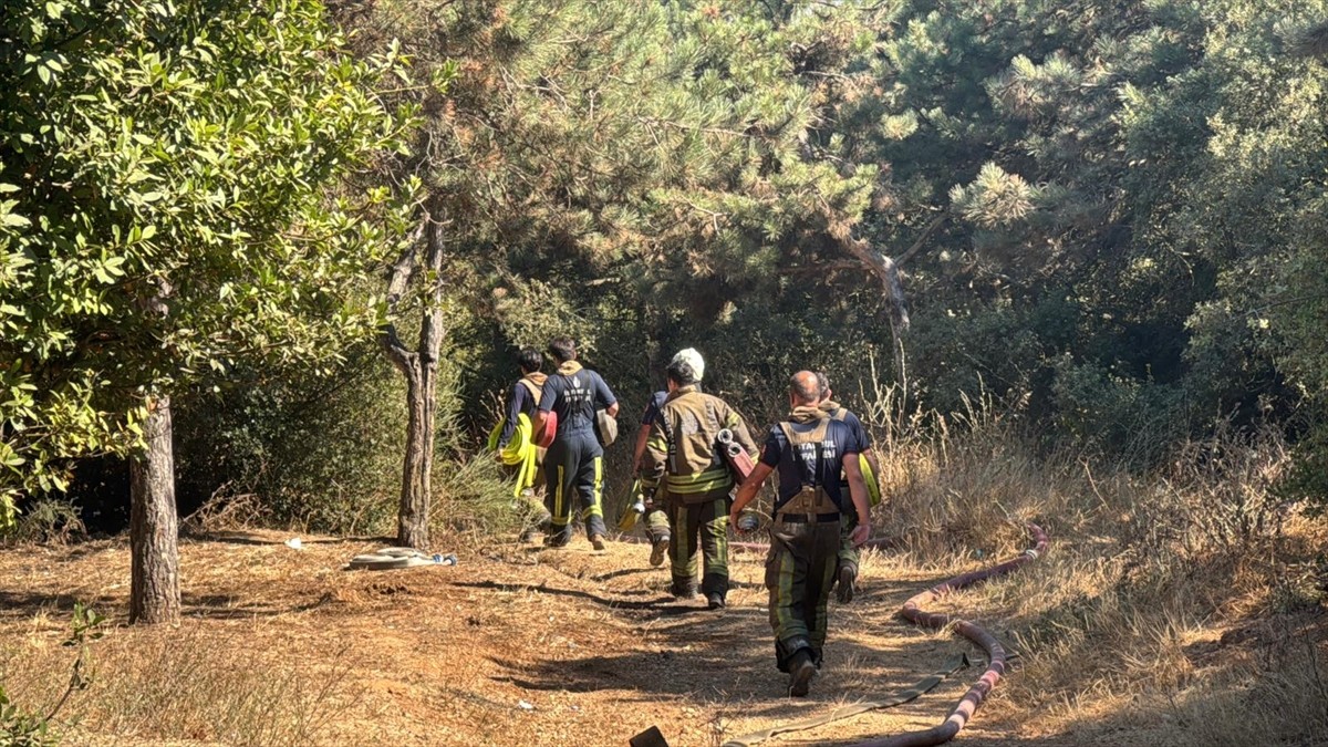 Sultangazi'de Hacı Bektaş-ı Veli Kent Ormanı'nda yangın çıktı. 