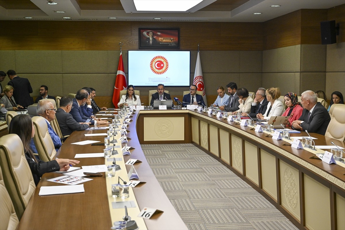 TBMM Engelli Bireylerin Sorunlarını Araştırma Komisyonu, AK Parti İzmir Milletvekili Mehmet...