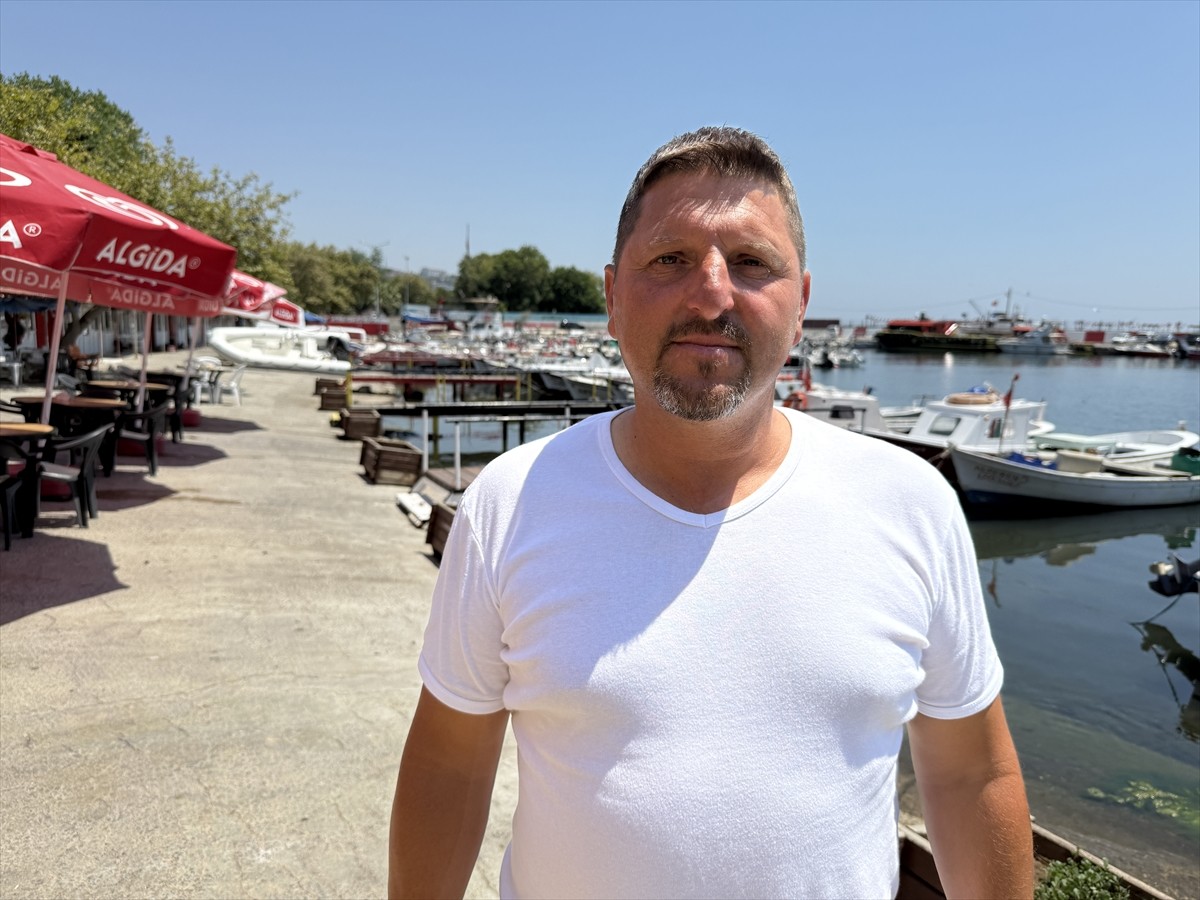 Tekirdağ'da Marmara Denizi'ne açılan küçük tekne balıkçılarının avladığı istavrit tezgahlarda...