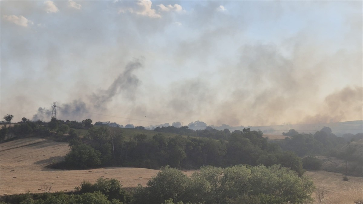  Tekirdağ'ın Malkara ilçesinde anızda başlayıp ağaçlık alana sıçrayan yangında 60 dekar alan zarar...