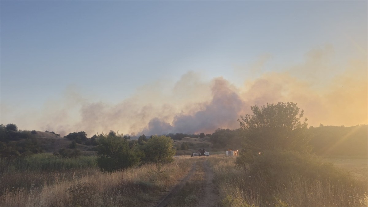  Tekirdağ'ın Saray ilçesinde çıkan yangın 20 dekar ağaçlık alana zarar verdi.