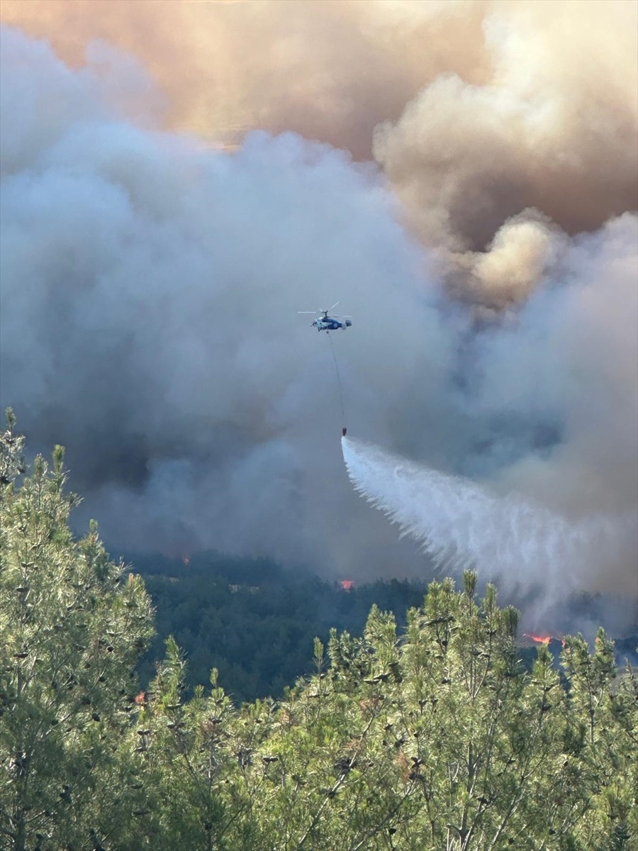Tekirdağ'ın Şarköy ilçesi Çokal Barajı yakınlarında orman yangını çıktı.