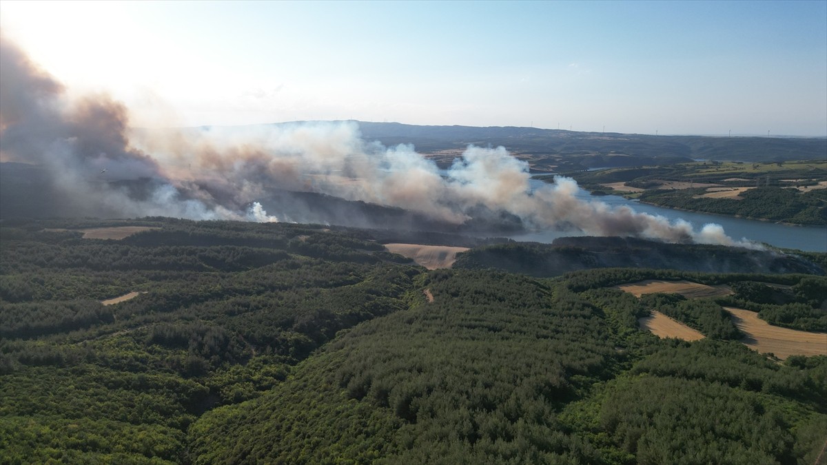 Tekirdağ'ın Şarköy ilçesi Çokal Barajı yakınlarındaki orman yangınına müdahale ediliyor.