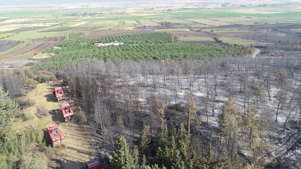 Tekirdağ'ın Şarköy ilçesinde çıkan ve Çanakkale'nin Gelibolu ilçesine sıçrayan orman yangınında...