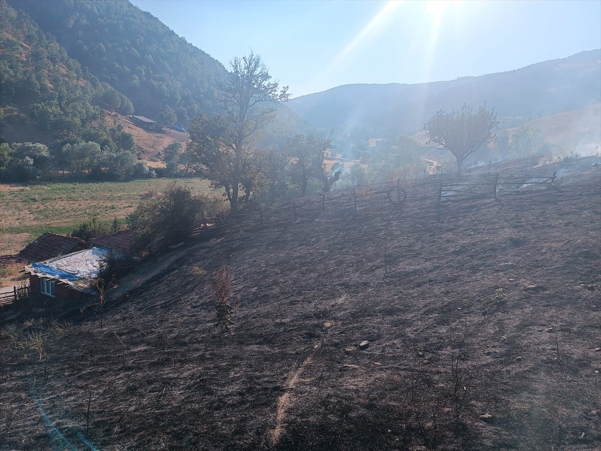 Tokat'ın Turhal ilçesinde çıkan yangında 10 dönümlük alan zarar gördü.