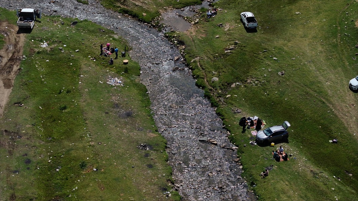 Trabzon-Gümüşhane sınırında yer alan ve yörenin "saklı cenneti" olarak nitelendirilen Camiboğazı...