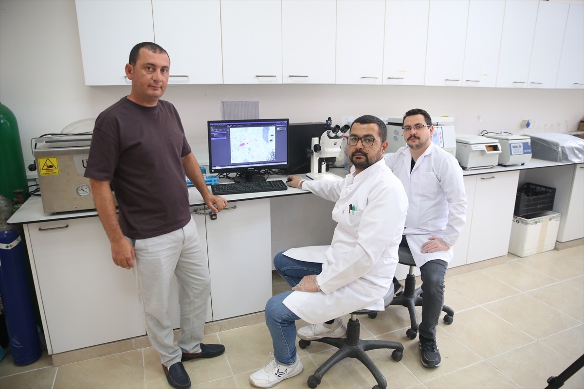 TÜBİTAK destekli, 24 ay sürecek "Mikroplastiklerin Ağır Metallerle İlişkisinde Plastisferin Rolü:...