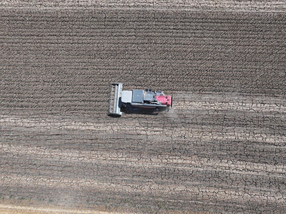 Türkiye'nin önemli ayçiçeği üretim merkezlerinden Edirne'de, ayçiçeği hasadı bu yıl aşırı sıcaklar...