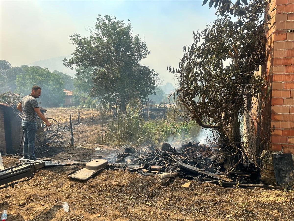 Uşak'ın Sivaslı ilçesinde meşelik alanda başlayan yangına havadan ve karadan müdahale...