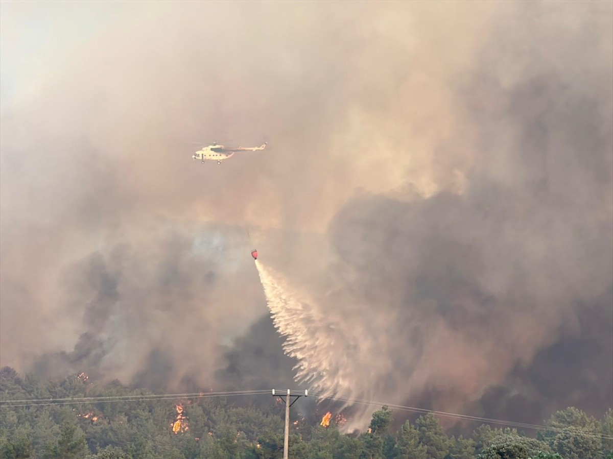 Uşak'ın Sivaslı ilçesinde meşelik alanda başlayan yangına havadan ve karadan müdahale...